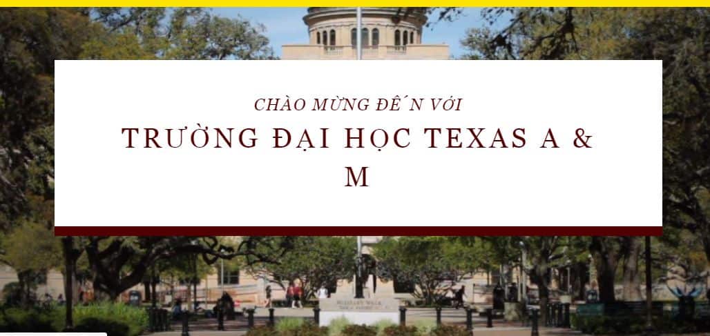 Đại học Texas A&M CORPUS CHRISTI 