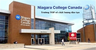 NIAGARA COLLEGE – DU HỌC CANADA TẠI TRƯỜNG TOP VỀ CHẤT LƯỢNG ĐÀO TẠO