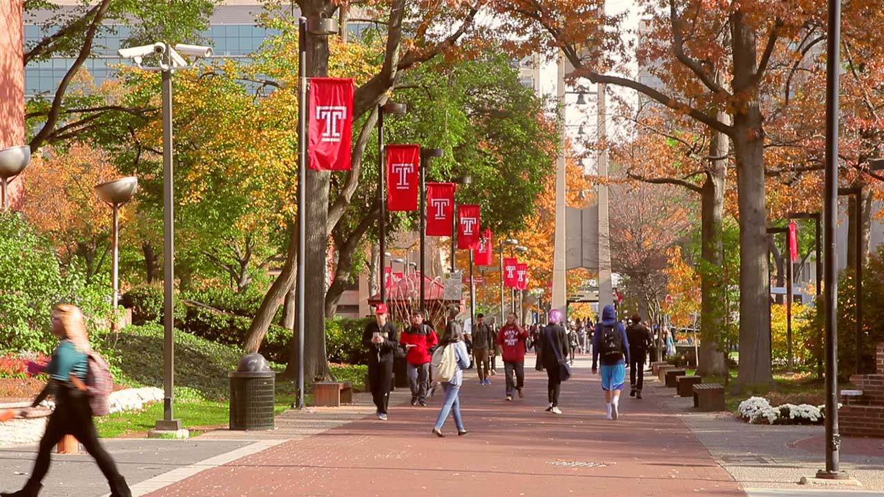 Temple University