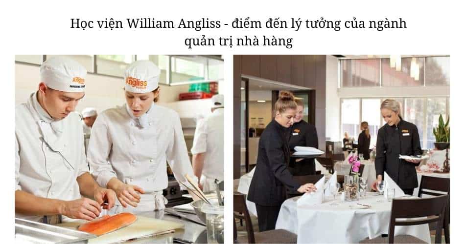 Học Viện William Angliss