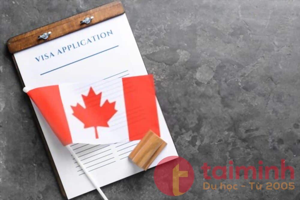 Nhiều cơ hội được mở ra khi có visa SDS Canada