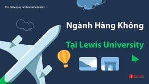 ngành hàng không tại lewis university