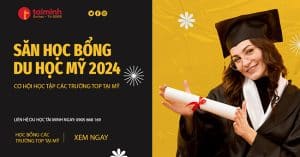 săn học bổng du học mỹ 2024