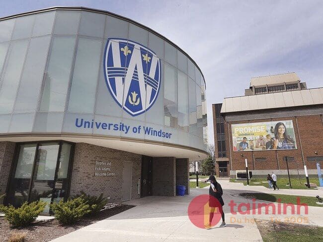 University Of Windsor