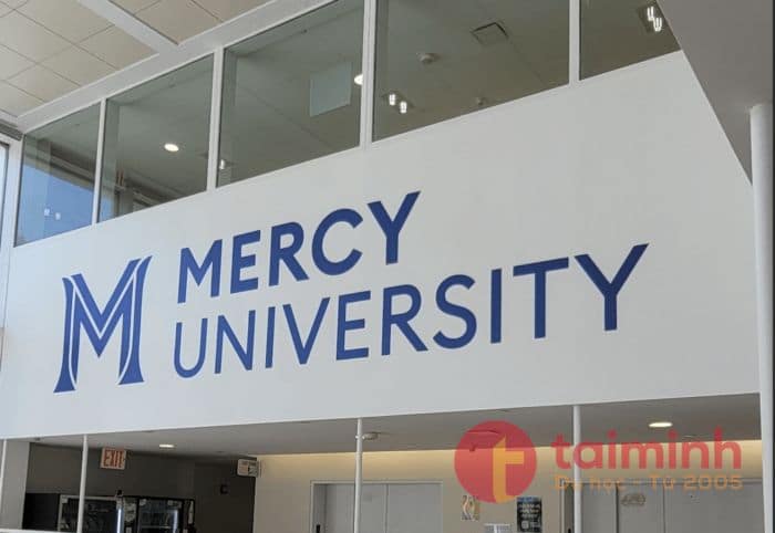 Mercy University